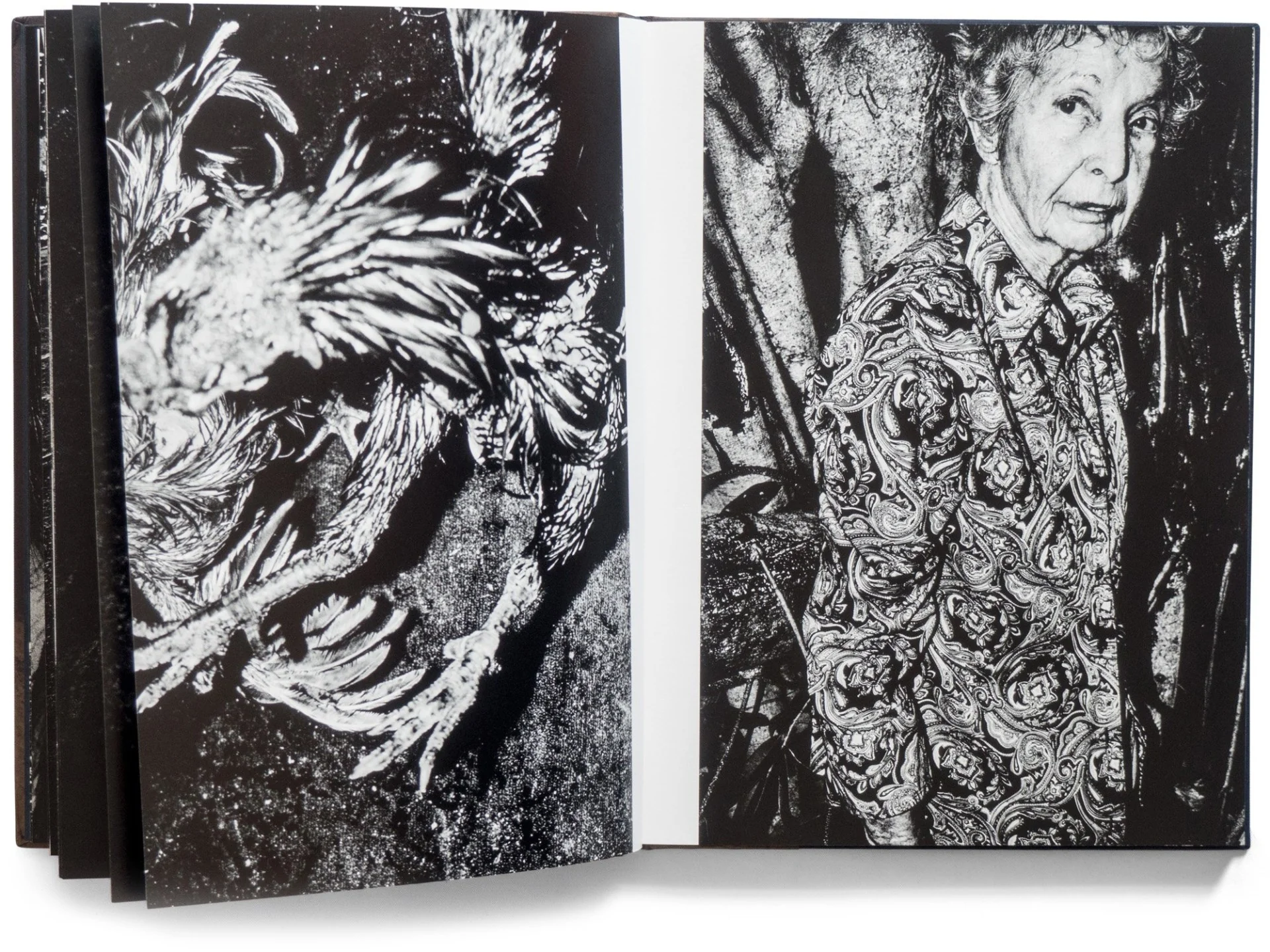 By the River of Kings – Special Edition with Print - Image 13