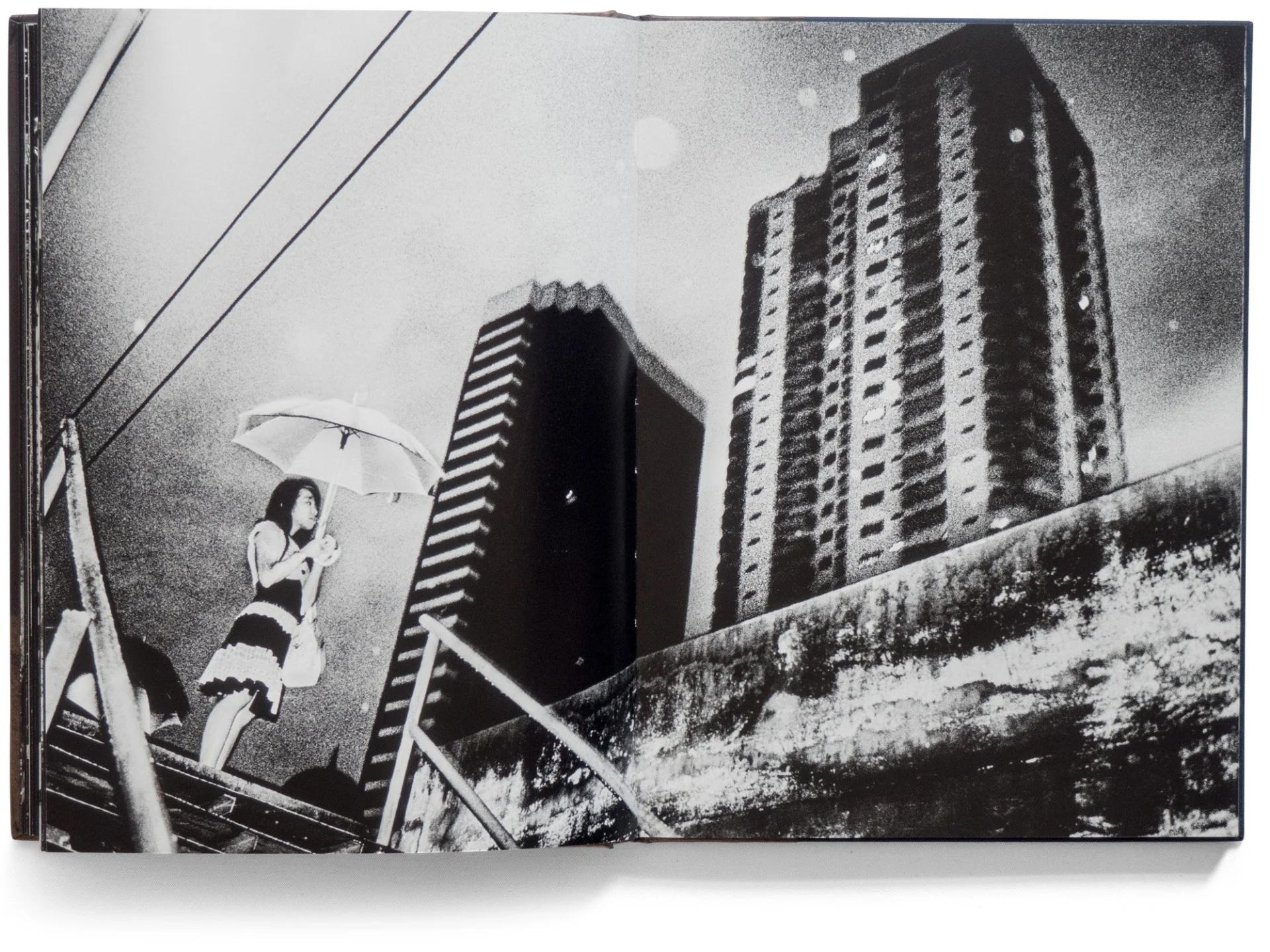 By the River of Kings – Special Edition with Print - Image 14
