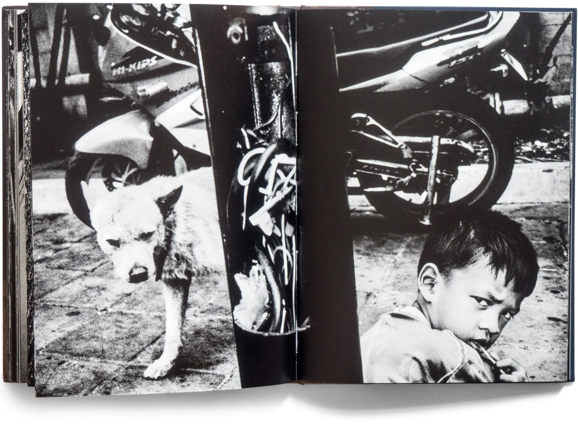 By the River of Kings – Special Edition with Print - Image 19